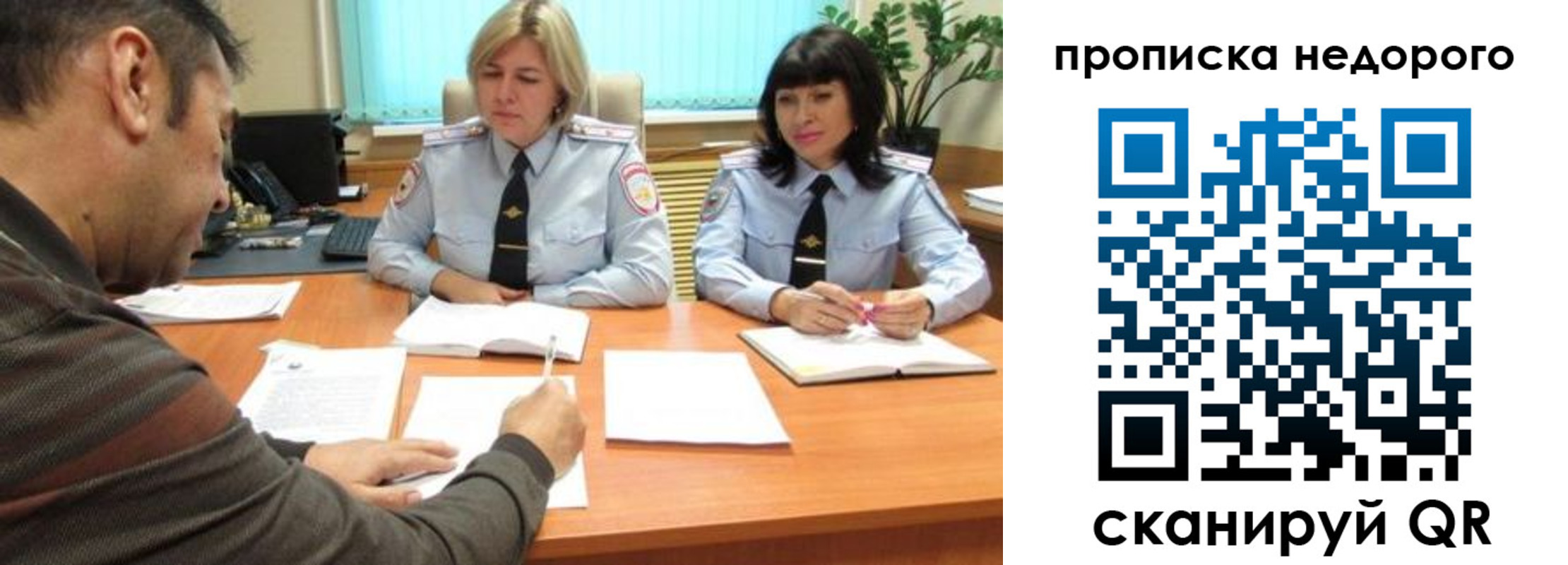 прописка поиск в Павловске